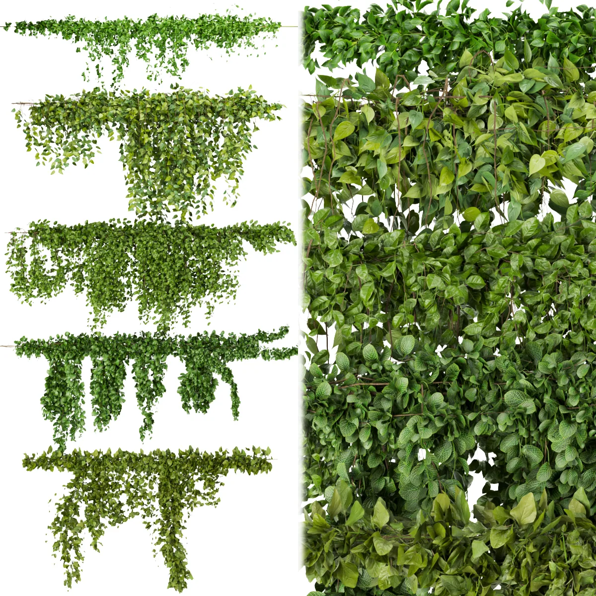 Collection plant vol 266 - Outdoor - ivy - bush - blender - 3dmax - cinema 4d