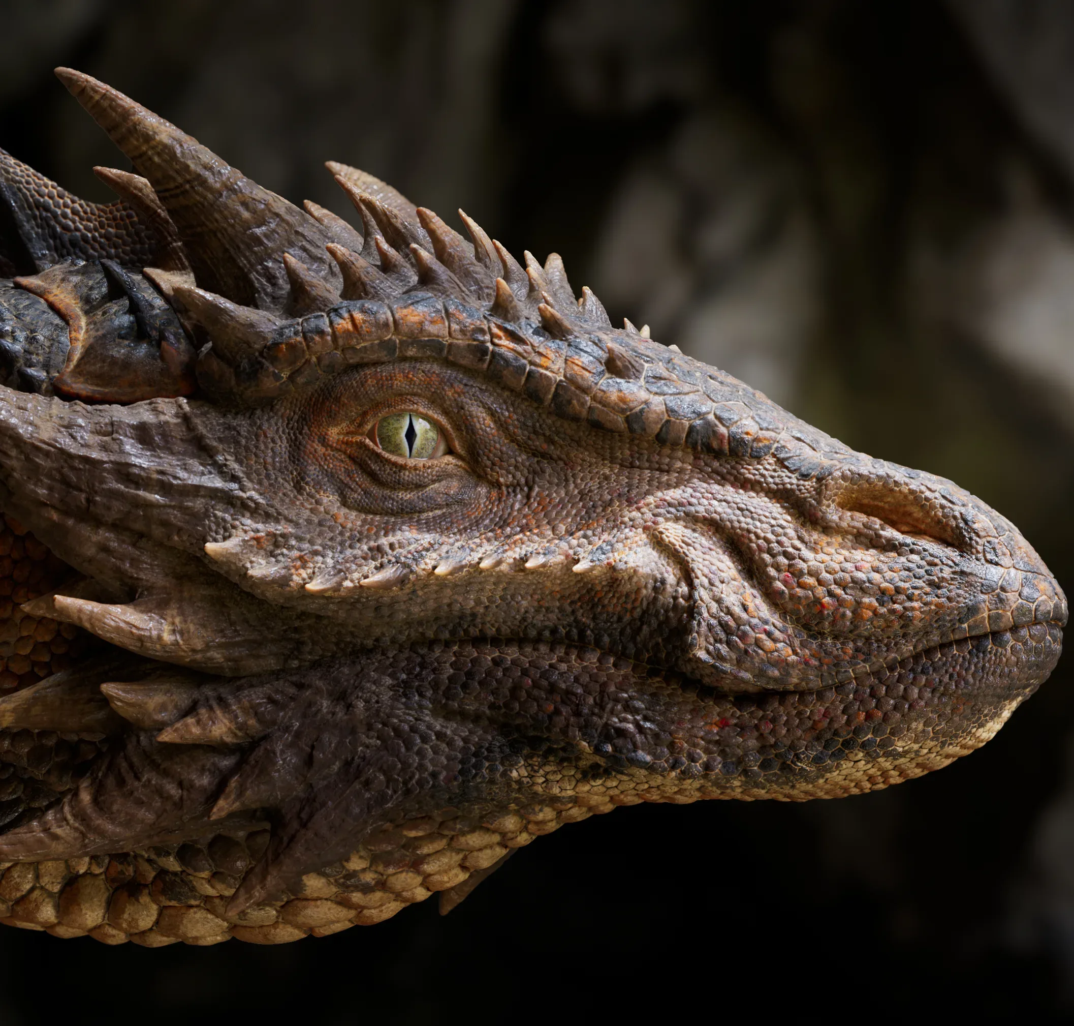 Creator store banner