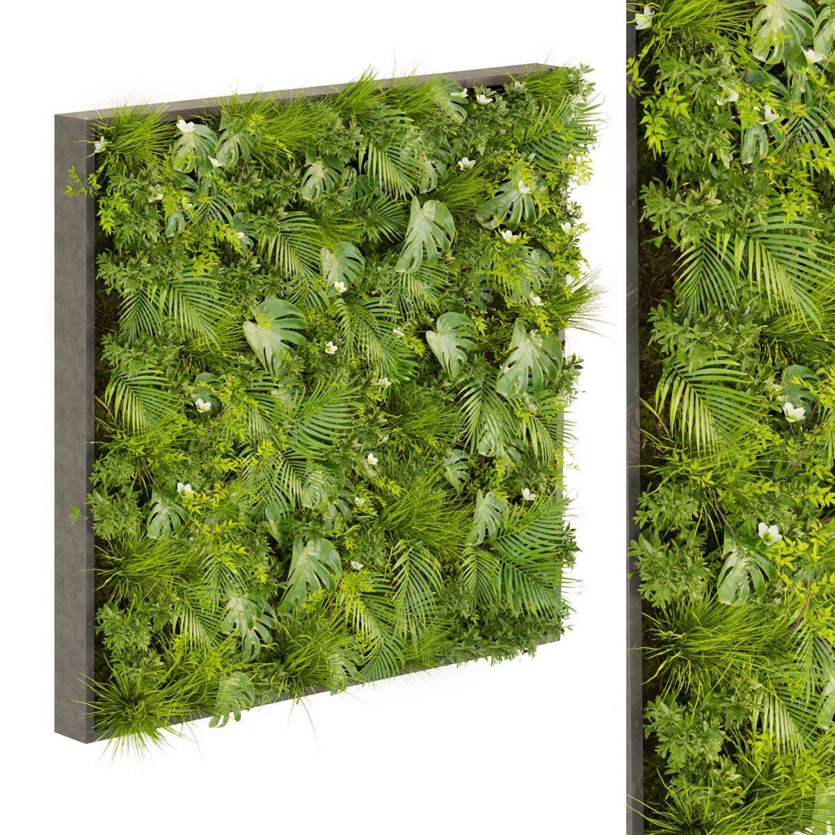 Collection plant vol 359 - fitowall - ertical - leaf - palm - monstera - blender - 3dmax - cinema 4d