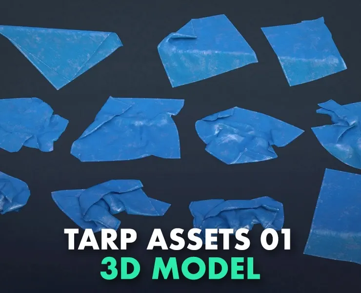 Tarp Assets 01