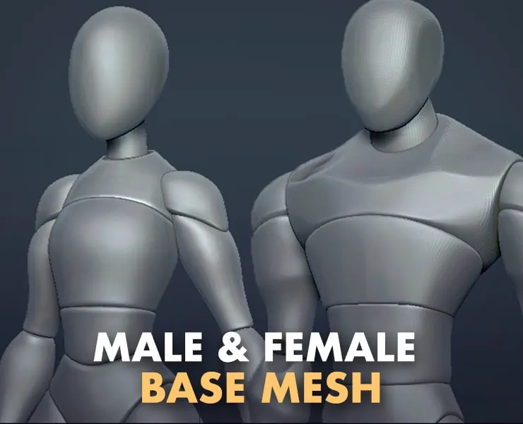 Base Mesh - Male/Female Mannequins