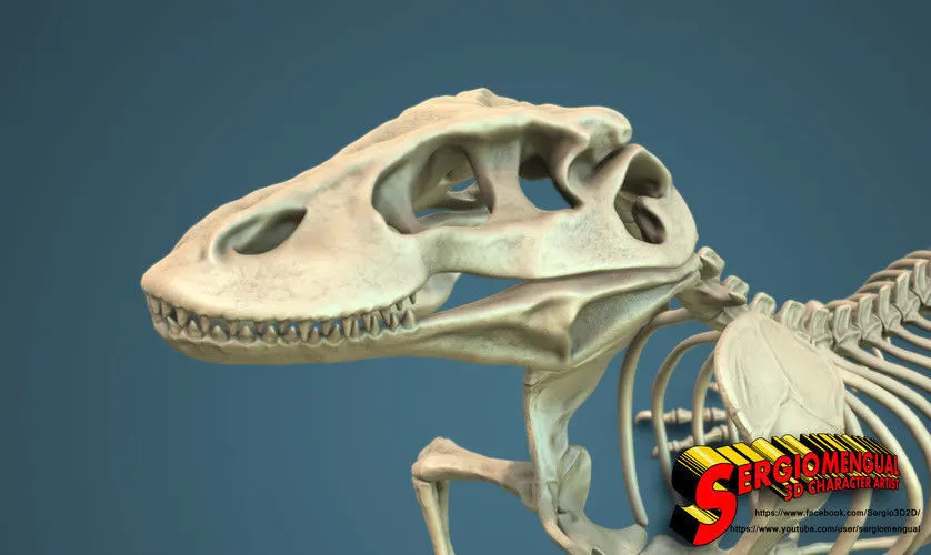 Komodo Dragon Skeleton 3D print model