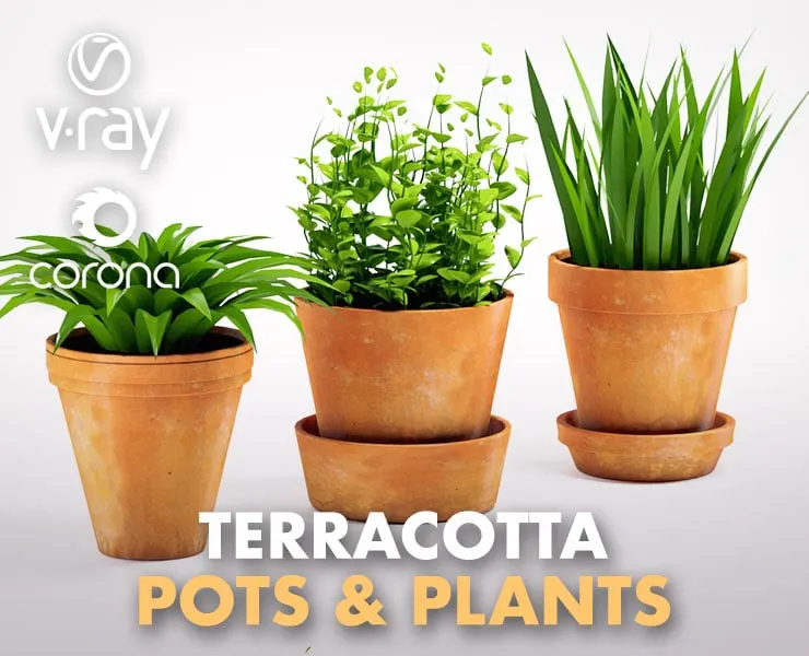 Terracotta Pots & Plants