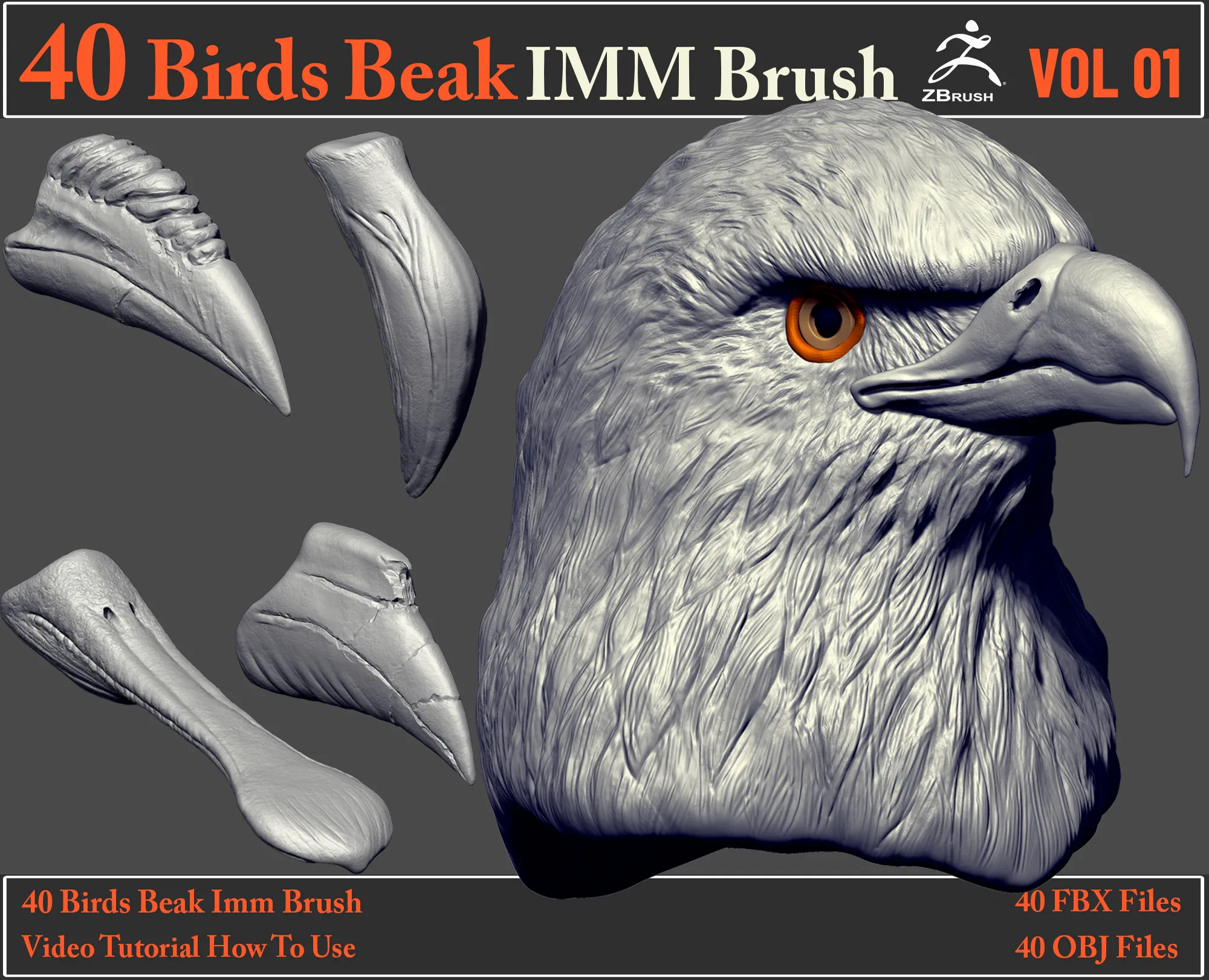 40 Birds Beak IMM Brush + Video How To Use