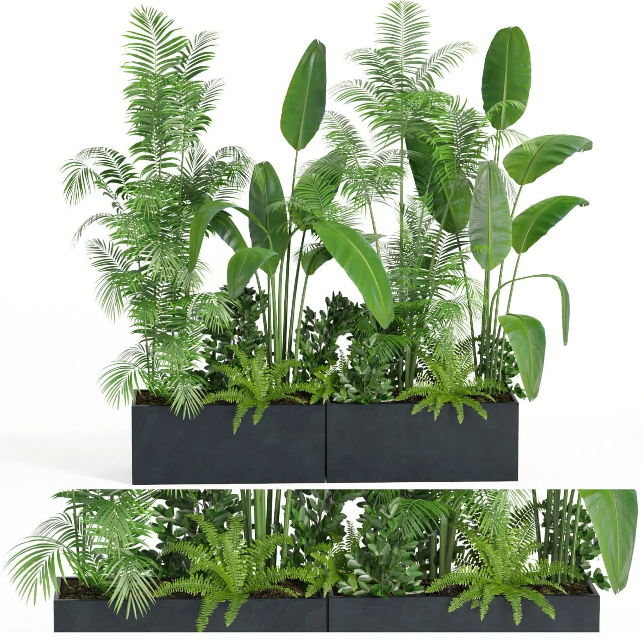 indoor plant set004