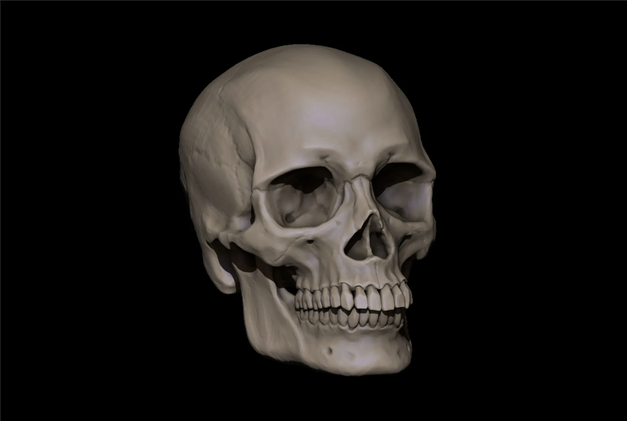 Reference skull - includes stl file ready to print