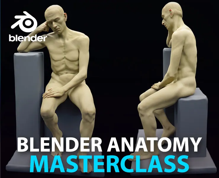 Blender Anatomy Course : Learn Male Human Anatomy