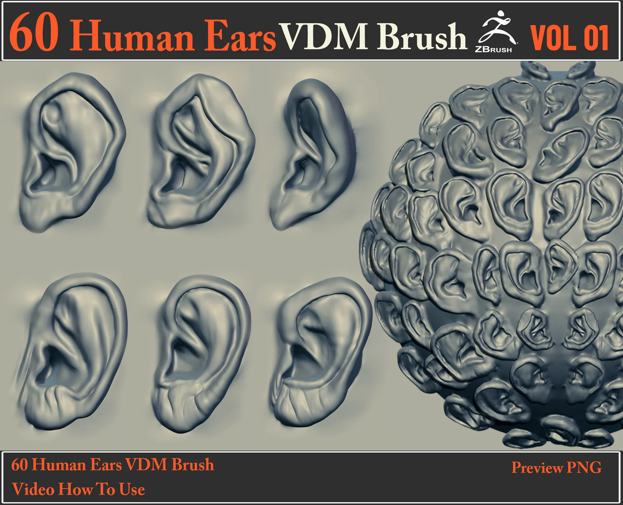 60 Human Ears VDM Brush + Video How To Use
