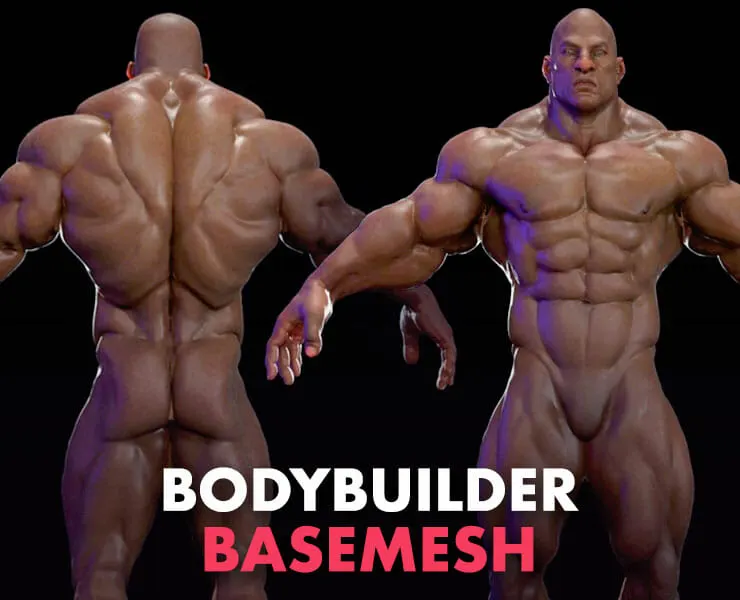 Bodybuilder (Game Ready) Basemesh