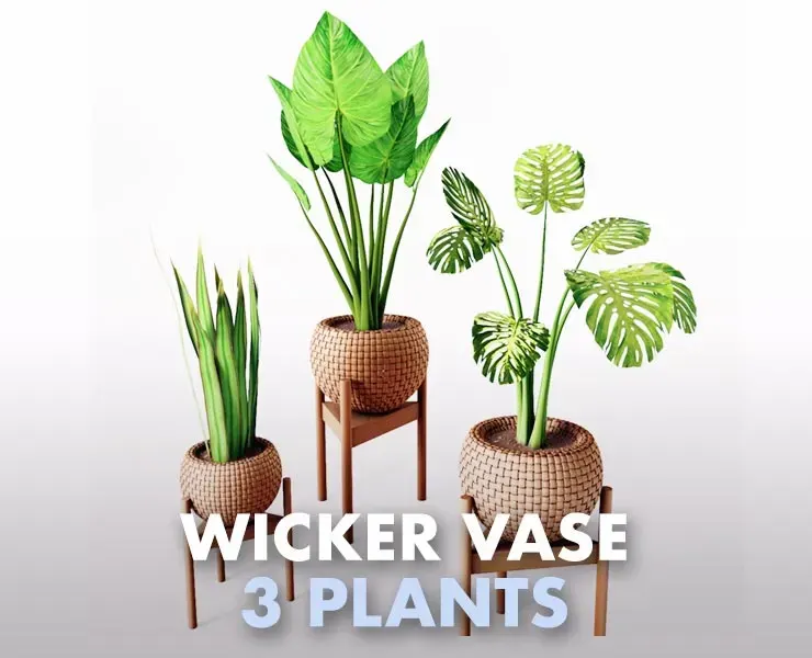 Set Vases No2 - Wicker Vase with 3 Plants