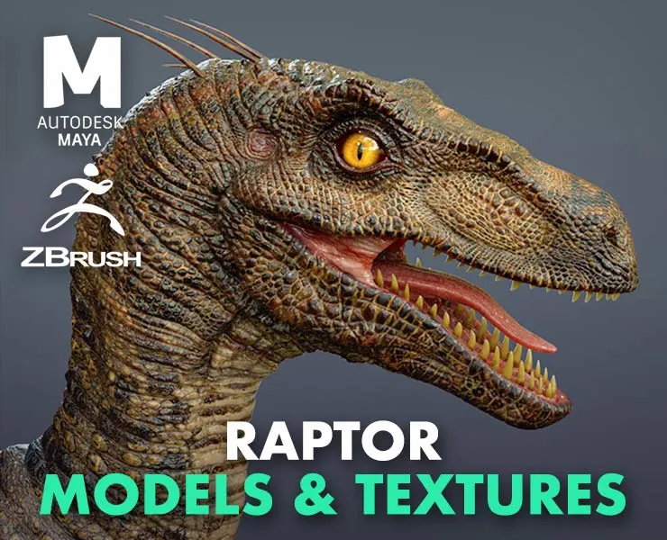 Raptor - 2 Models & Textures