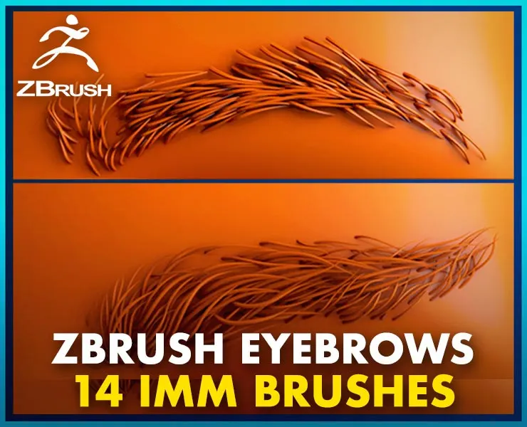 14 ZBrush Eyebrow IMMS