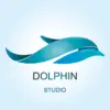 dolphin-gs