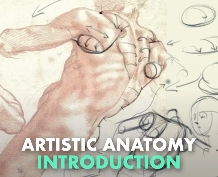 Artistic Anatomy Introduction