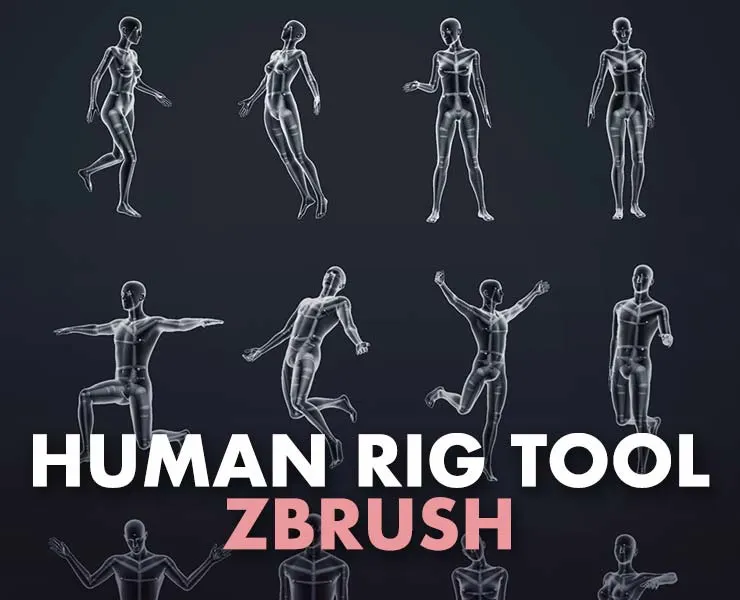 Custom Posing Rig Tool for Humans - ZBrush