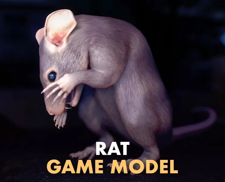 Common Rat