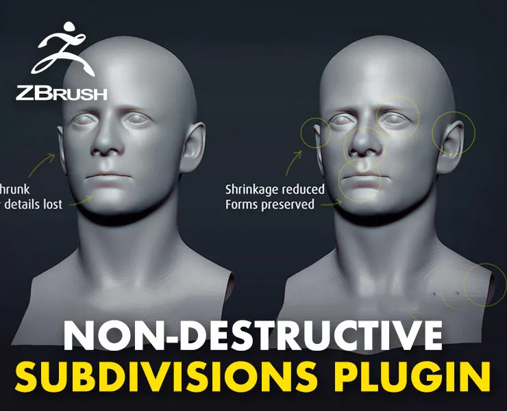 Poligone - ZBrush Non-Destructive SubDivisions