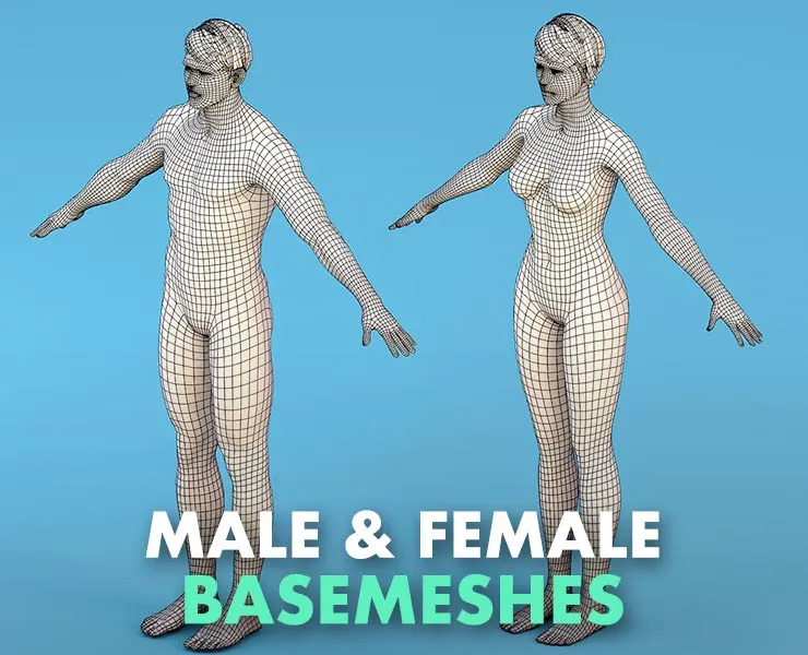 Base Character Male & female