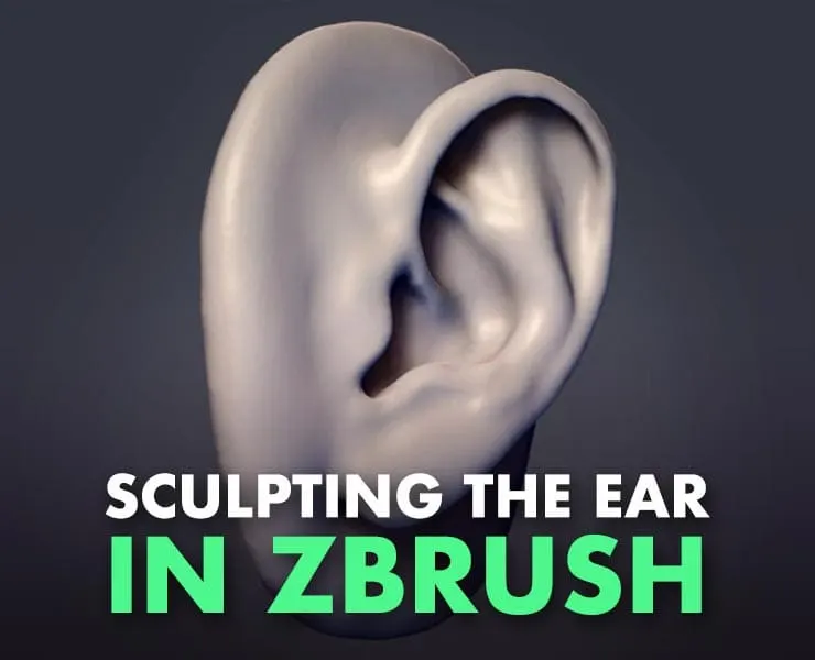 How to Sculpt the Ear in Zbrush