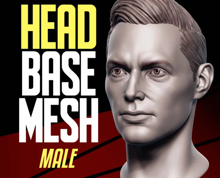 Head Basemesh Male