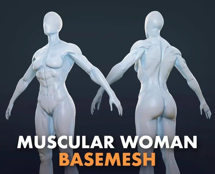 Muscular Woman - Base Mesh
