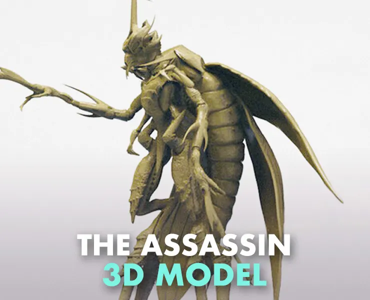 The "Assassin" Model