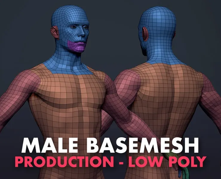 Male Basemesh (low poly) V2
