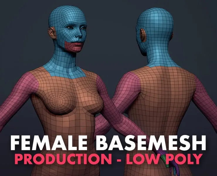 Female Basemesh (low poly) V2