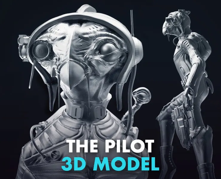 The "Pilot" Model