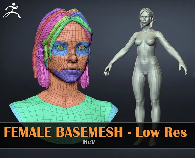 Female Basemesh - LowRes