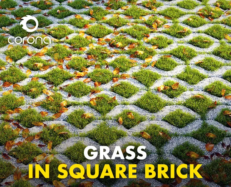 Grass in the Square Brick