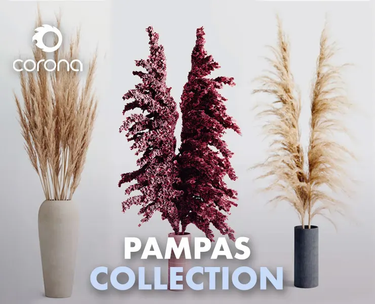 PAMPAS COLLECTION