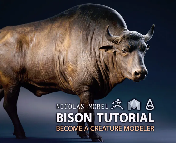 Bison Modeling Tutorial