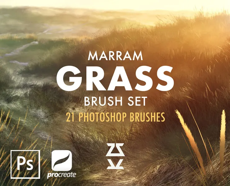 Marram Grass Brush Set