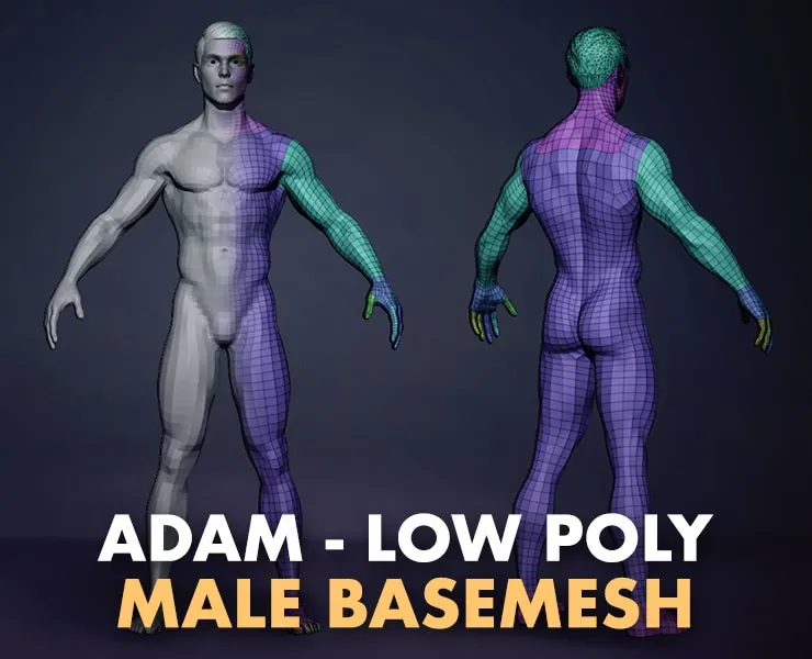 Male BaseMesh - LowPoly