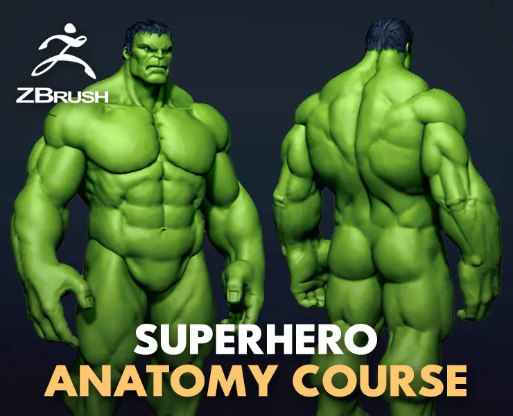Superhero Anatomy Course for Artists - The Hulk