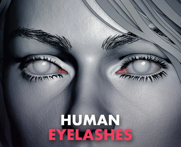 Human Eyelashes