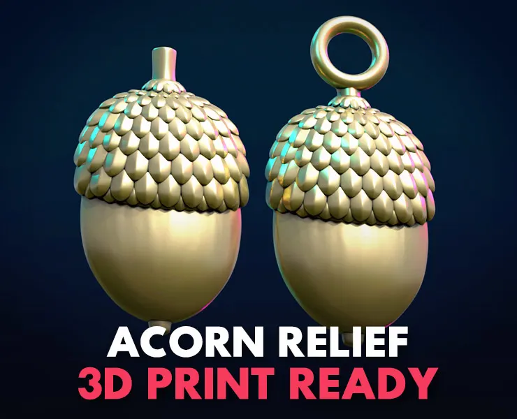 Acorn Relief