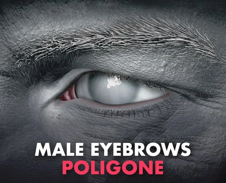 Poligone Male Eyebrows