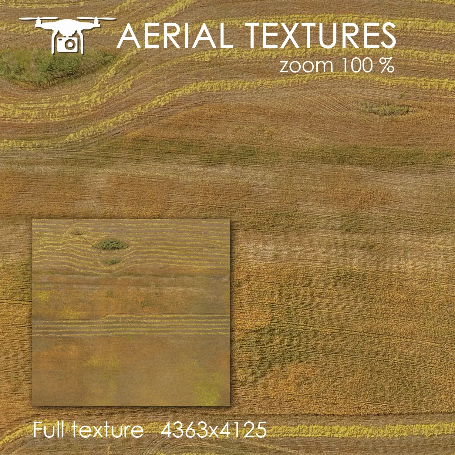 Aerial Texture 81