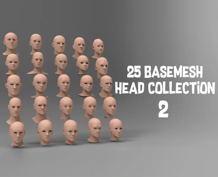 25 Basemesh head collection 2