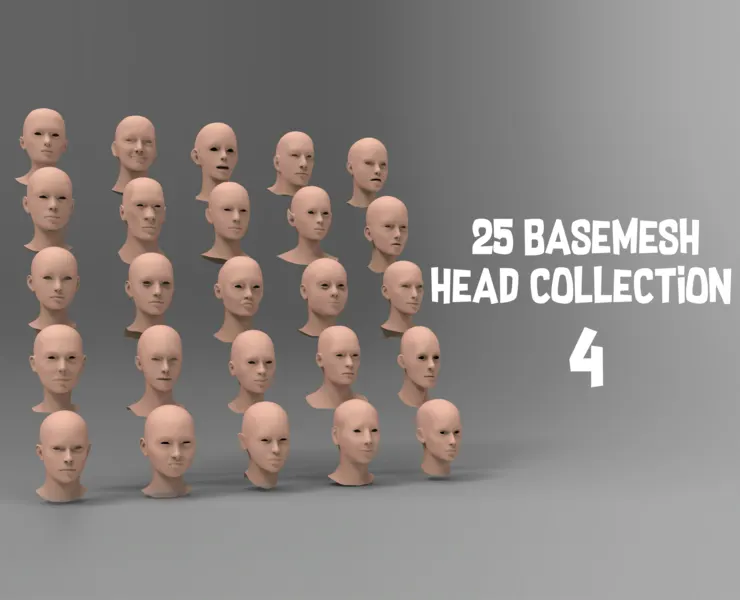 25 Basemesh head collection-4