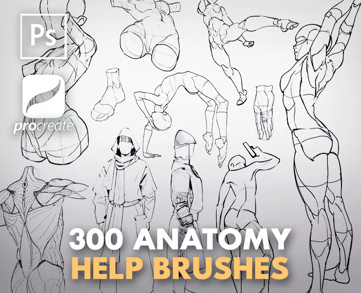 Anatomy HelpBrushes [ 300 CHEATBRUSHES to Push Anatomy Skills ]