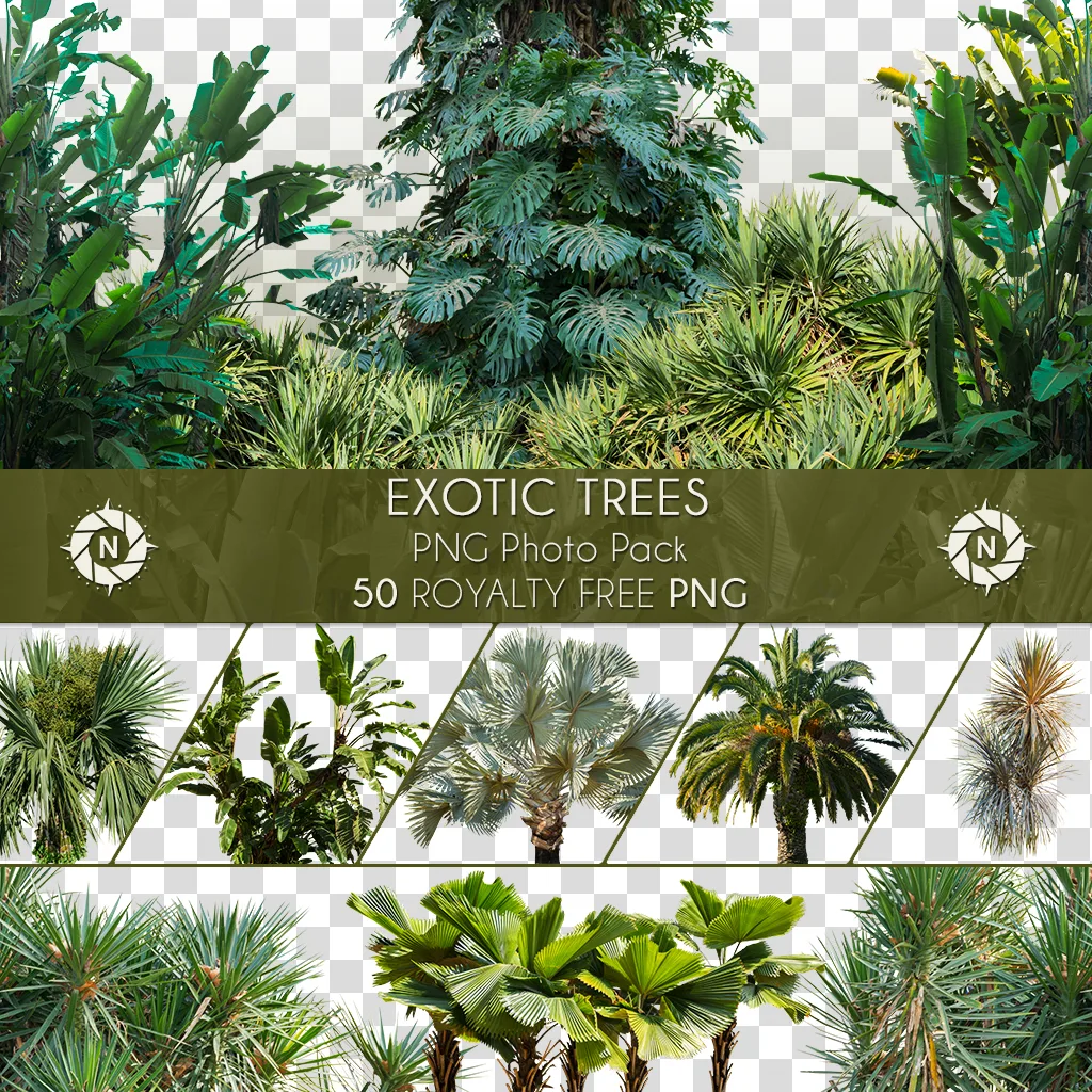 PNG Photo Pack: Exotic Trees