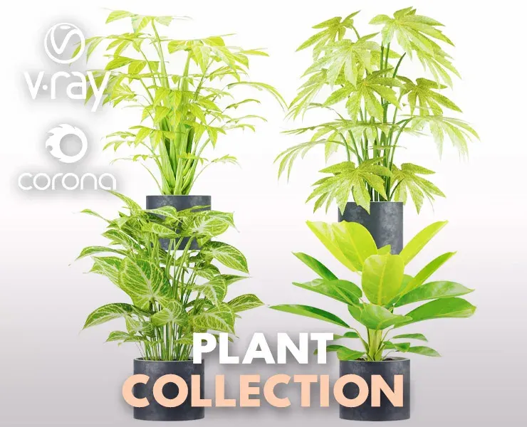 Collection Plant Vol 2