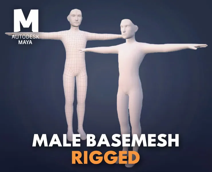 Male Basemesh - Rigged