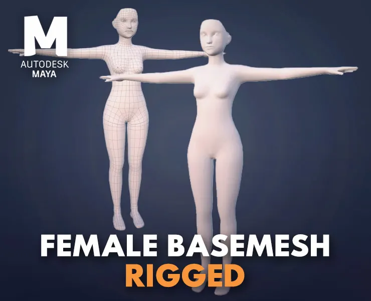 Female Basemesh - Rigged