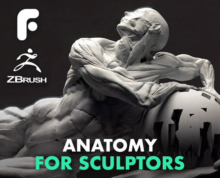 Fundamental Anatomy for Sculptors