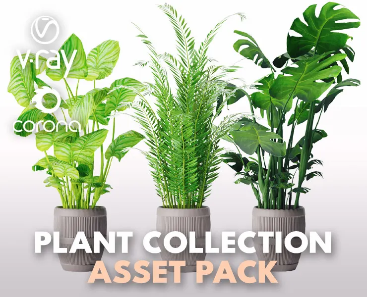 Collection Plant Vol 4