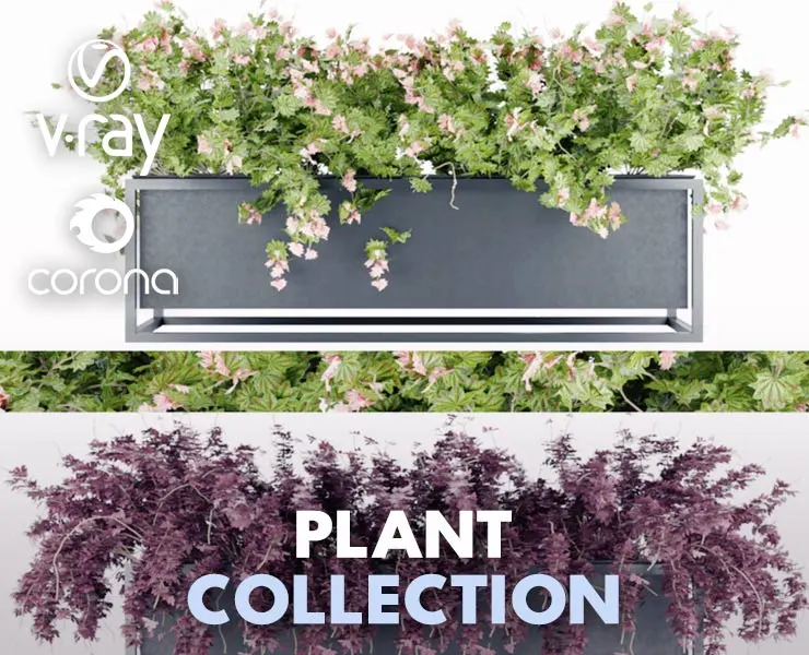 Collection Plant Vol 15